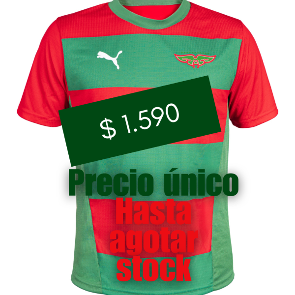 Camiseta Oficial Puma Aguada