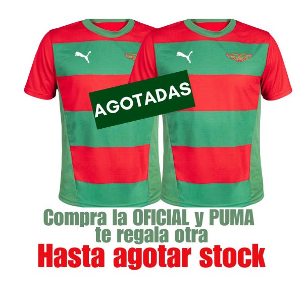 Camiseta Oficial Puma Aguada